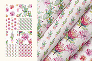 Watercolor cactus and succulents, a Decorative Illustration by Siriliadka Dreams (Thumbnail 3 of 9)