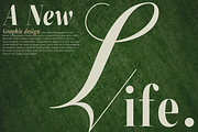 ZT Neue Ralewe Luxury Serif 90 Font, a Serif Font by zelow type (Thumbnail 18 of 24)
