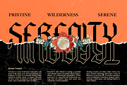 Hyacinth - Modern Blackletter, a Blackletter Font by Dharmas Foundry (Thumbnail 6 of 15)