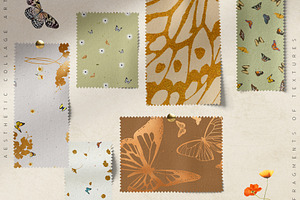 Butterfly Collage Paper Textures