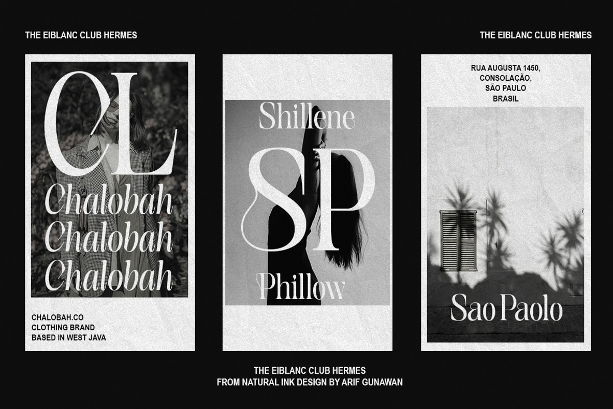 The Eiblanc Club Hermes | 12 Font, a Serif Font by Natural Ink Studio (Photo 4 of 15)