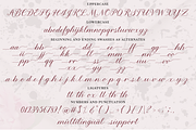 Les Fleurs Script, a Script Font by theinkaffair (Thumbnail 7 of 8)