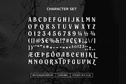Brillante Siempre - Fancy Serif, a Serif Font by Arterfak Project (Thumbnail 12 of 12)