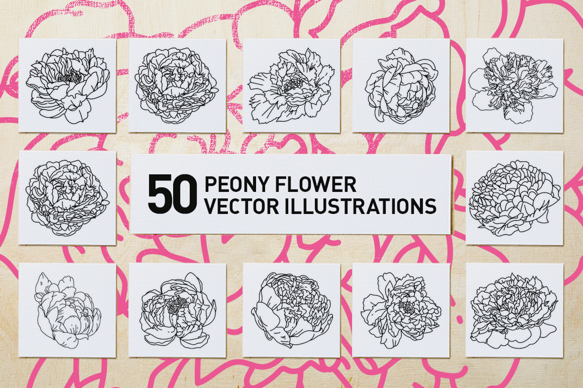 50 Peony Flower Vector Illustrations, an Illustration by Inkwell Supply Co (Photo 1 of 20)
