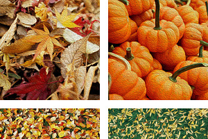 Oil Paint Autumn Backgrounds