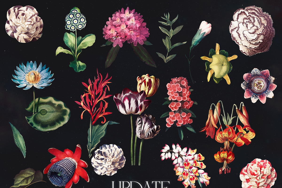 Women's Universe Collection, an Object Graphic by Natali Batu (Photo 17 of 30)