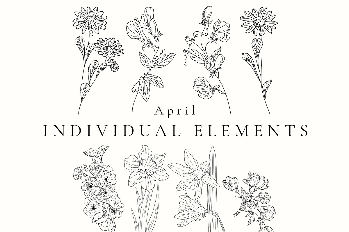 Birth Month Flowers SVG - PNG, a Decorative Illustration by AW Studios (Photo 4 of 11)