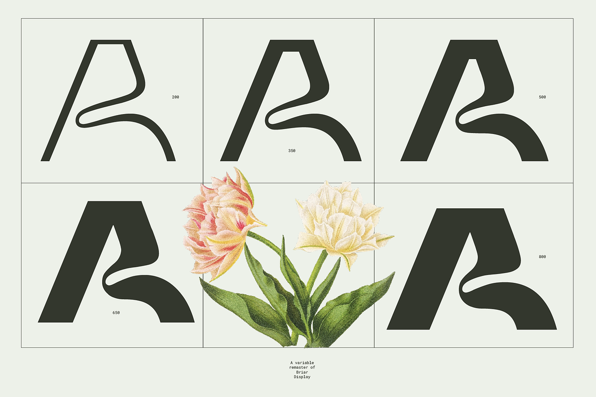 Briar - Fluid Variable Typeface, a Sans Serif Font by Barrett Reid-Maroney (Photo 3 of 10)