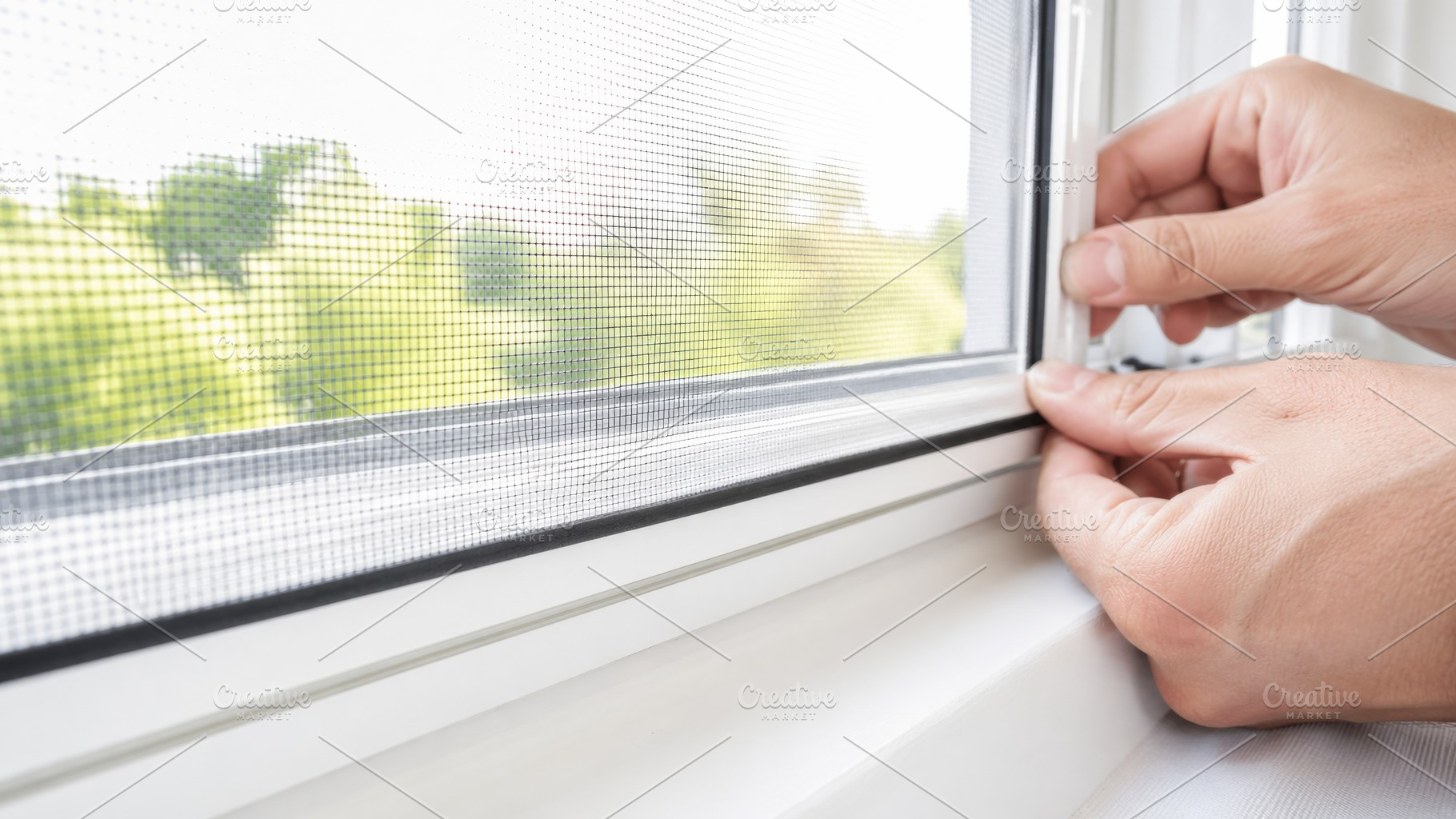 Pest control prevention with window, a Photo by Dvoevnore photos