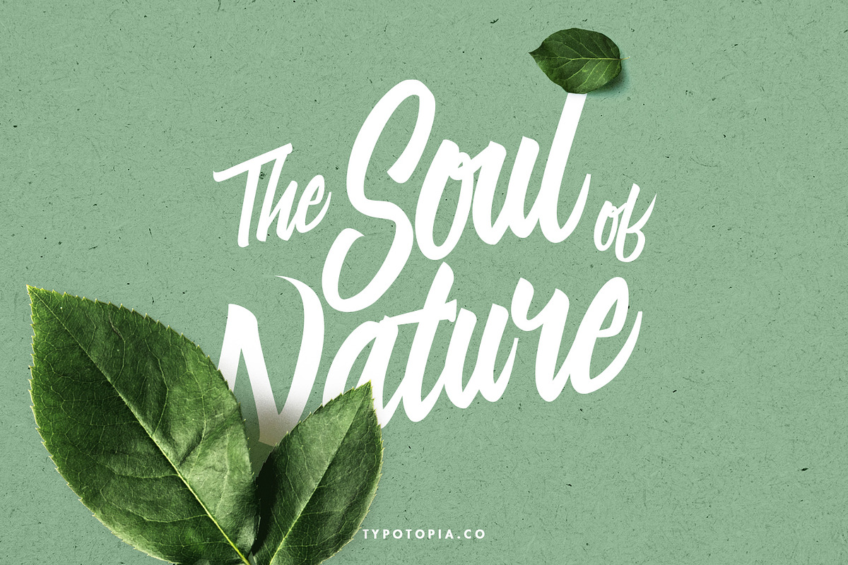 Linimasa - Modern Script Font, a Script Font by edukka (Photo 7 of 11)