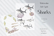 Watercolor Sharks Life Cycle Set, an Education Illustration by MayaNavits (Thumbnail 2 of 9)