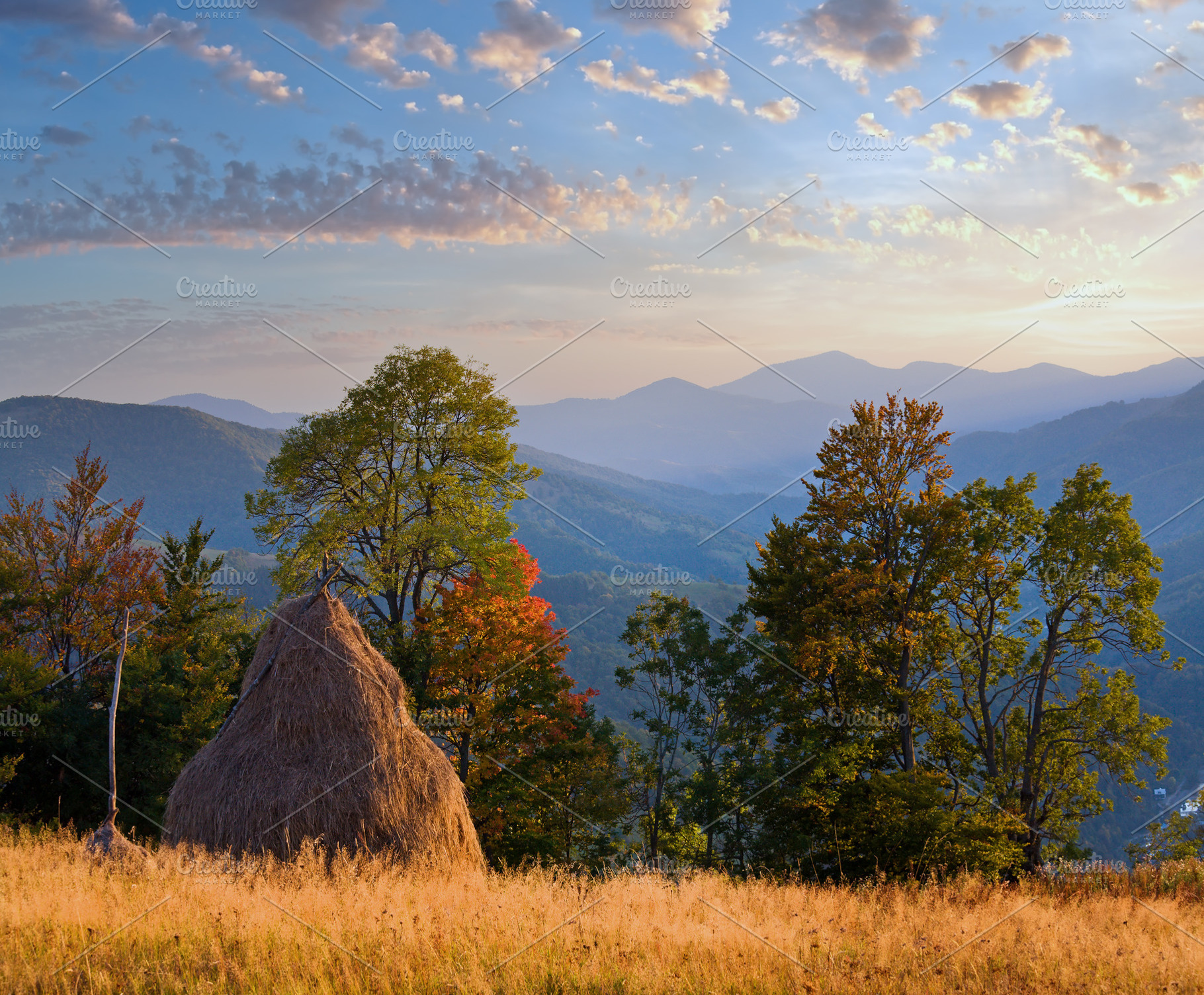Autumn in mountain, a Nature Photo by YuriyB