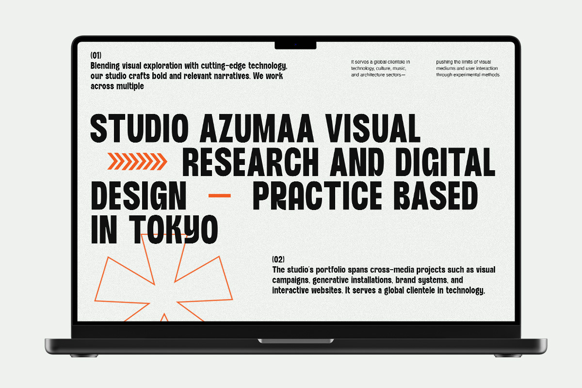 Thronus Sans Display Condendsed, a Sans Serif Font by OV Type (Photo 12 of 12)