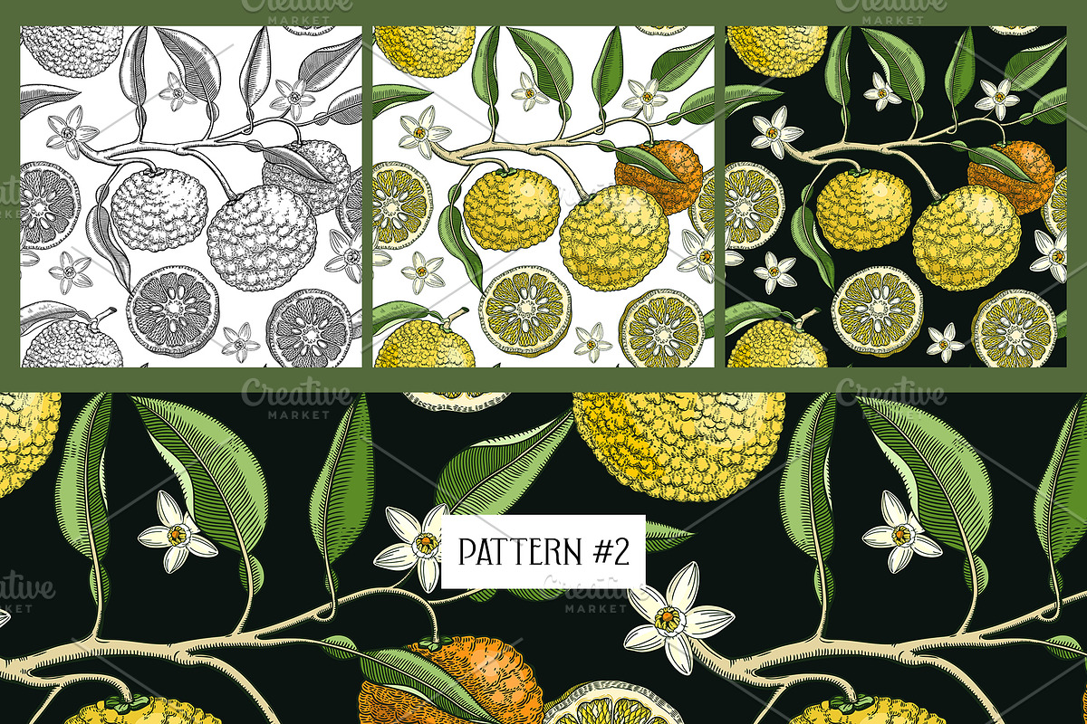 Yuzu - Citrus Fruit and Patterns, a Food Illustration by Yevheniia (Photo 10 of 12)