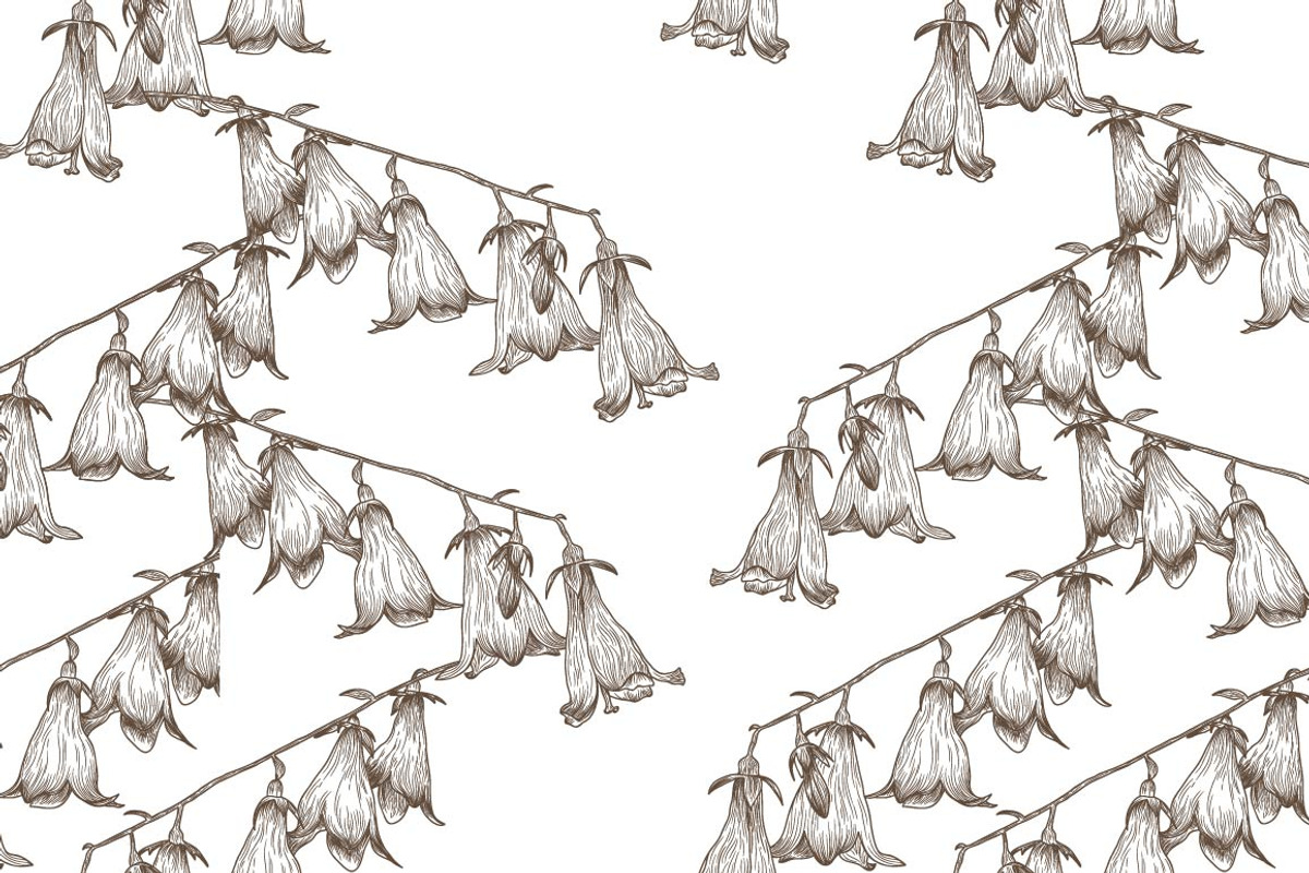 Wild Flowers, a Graphic by lycka (Photo 2 of 4)