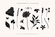 Wild Honey Vector Illustrations, a Decorative Illustration by rouxsupplyco (Thumbnail 5 of 14)