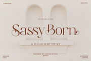 Sassy Born - Modern Elegant Font, a Serif Font by Qweera Studio (Thumbnail 1 of 12)