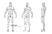 Vector illustration of human body, a Technology Illustration by Julvil (Thumbnail 1 of 2)