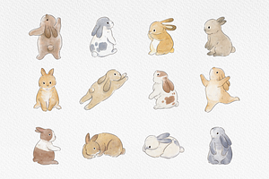 Cute Rabbit Illustration Pack