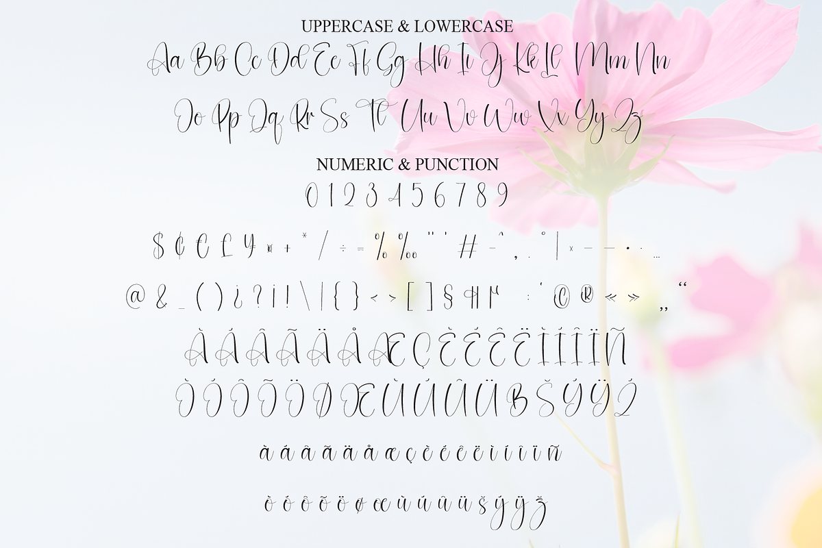 Beautiful | Script Font, a Handwritten Font by Scratchones (Photo 7 of 9)