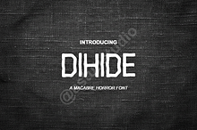 Dihide | Modern Luxury Sans Serif Fo