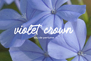 Callin Garden Vintage Handwritten, a Handwritten Font by RantautypeStudio (Thumbnail 7 of 11)