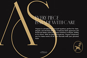 Virgoun | Ligature Serif Typeface, a Serif Font by Krismagraph (Thumbnail 9 of 12)