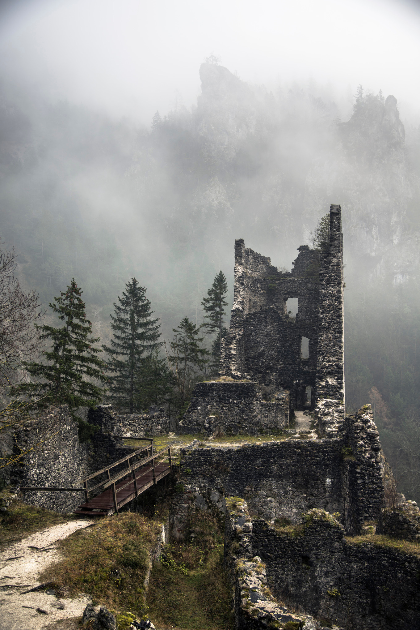 Abandoned castle ruins in the forest featuring castle, ruins, and ...