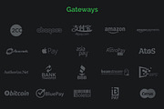 Payment Gateway Icons, an Icon by Ilya Pavlov (Thumbnail 2 of 3)