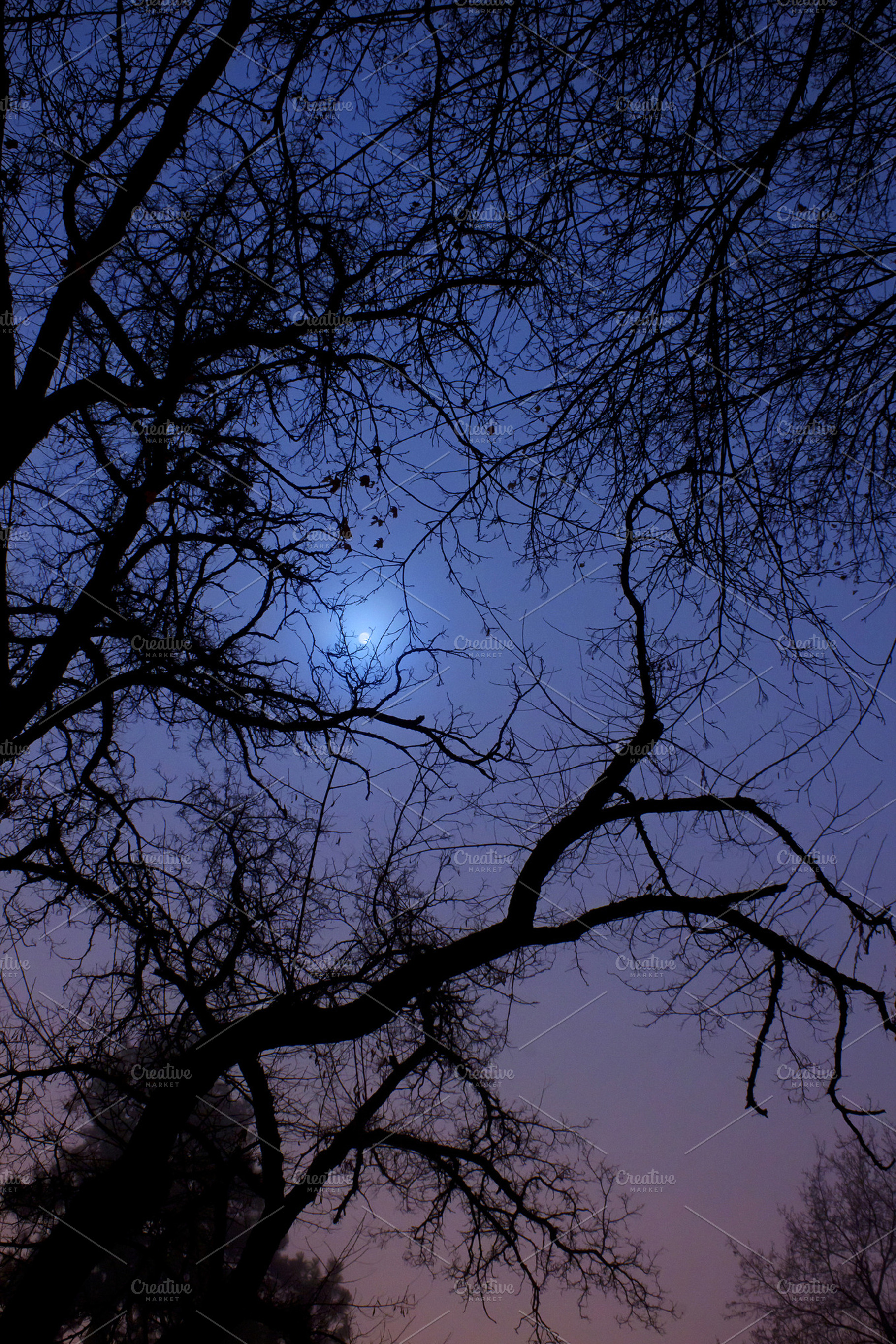 Halloween background featuring picture, photo, and image