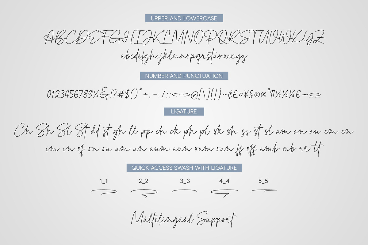 Pointone | Monoline Script, a Script Font by Lemonthe (Photo 6 of 6)