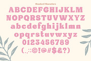 Vintage Daylight, a Symbol Font by Nathatype (Thumbnail 3 of 12)