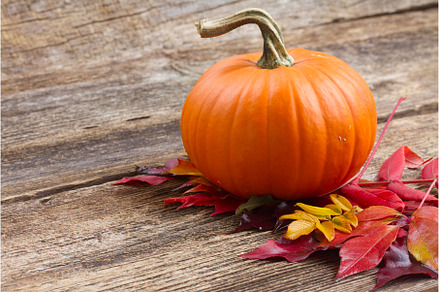 pumpkin on table, a Food & Drink Photo by Neirfy