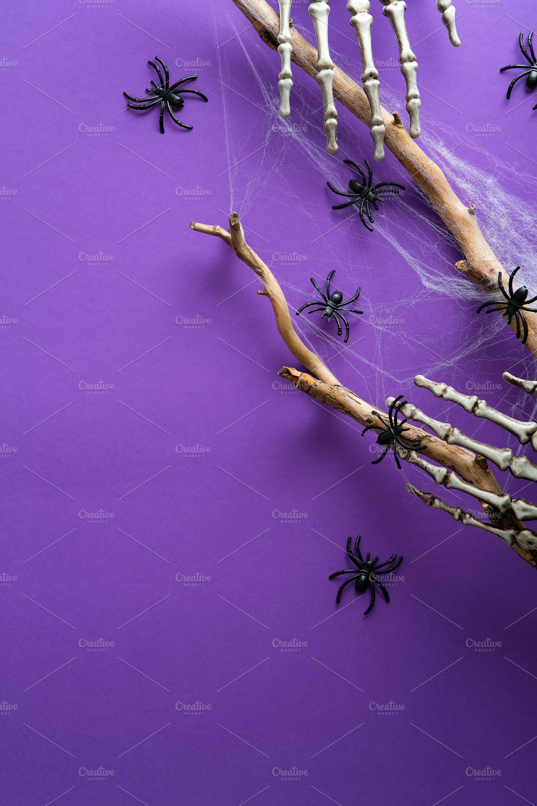 Halloween decorations, spiders, a Holiday Photo by photoguns
