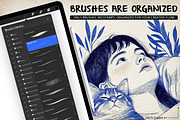 2000+ Mega Bundle Procreate Brushes, a Brush Add-On by BrushArchive (Thumbnail 3 of 9)