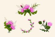 Thistle - meadow flower, an Illustration by MariiaVasilenko (Thumbnail 3 of 6)