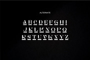 Brays unique display serif font, a Serif Font by suhadidesign (Thumbnail 11 of 11)