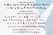 Partner Monica | Script Font, a Handwritten Font by Scratchones (Thumbnail 7 of 8)