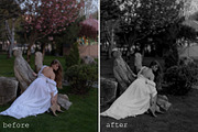 TOP SPRING FLOWER PRESETS, a Preset Add-On by OstapenkoPhotography (Thumbnail 6 of 6)
