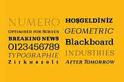 Bodrum Slab, a Slab Serif Font by BULENT YUKSEL (Thumbnail 7 of 12)