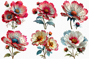 Spring Cosmos Flower Clipart Png, an Illustration by Craft Nest (Thumbnail 4 of 11)