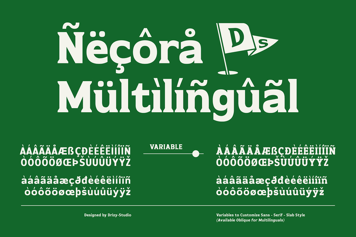 Necora – Multiple Axes Classic Font, a Serif Font by Drizy (Photo 7 of 10)