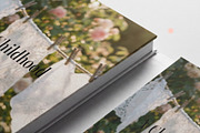 Hazy Lace & Textile Kit, an Object Graphic by divanovskaya_nv (Thumbnail 12 of 24)