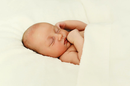 Portrait of infant sweet sleeping ly, a Person Photo by Rohappy