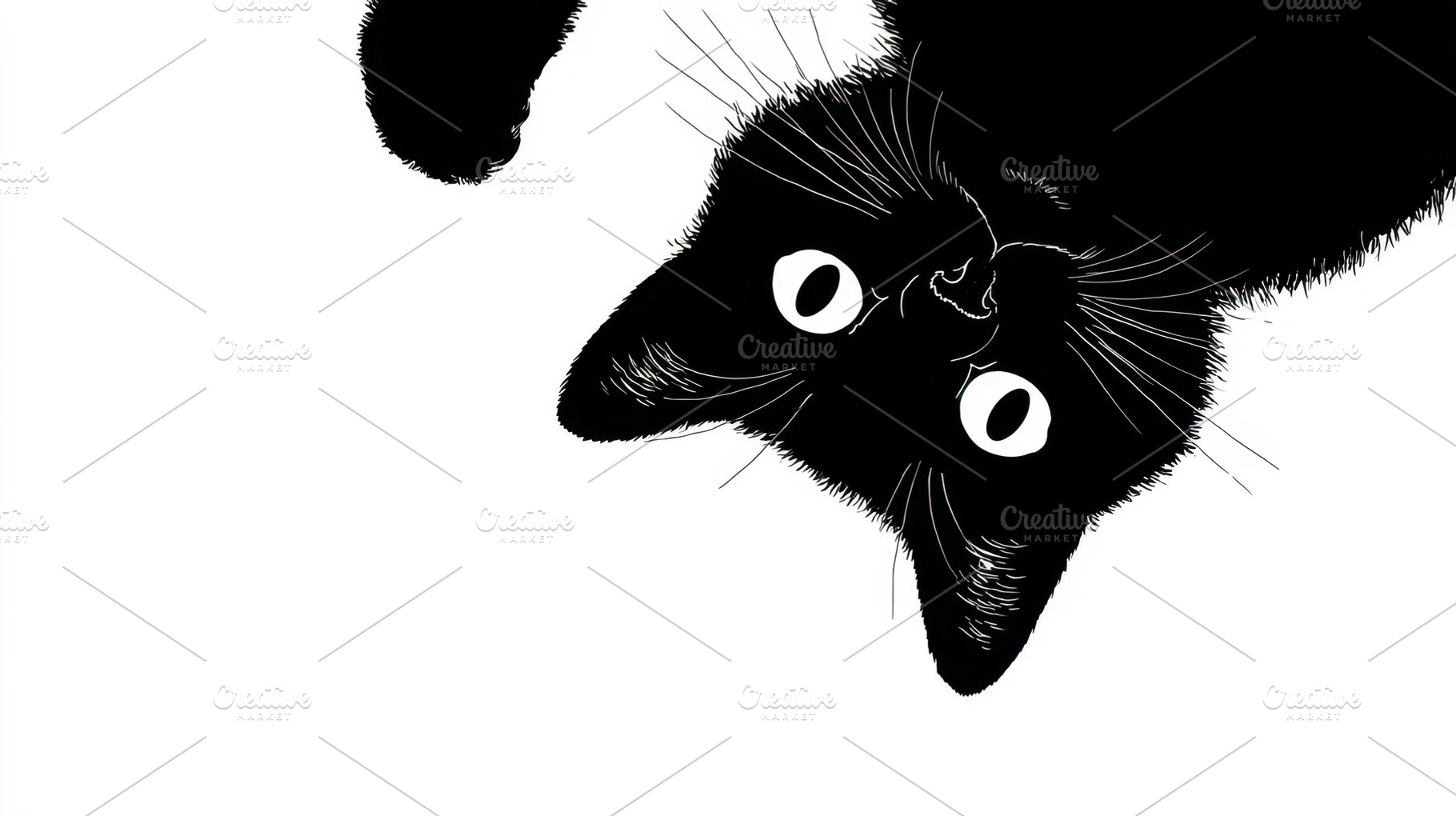 Cute black cat looking at viewer, a Photo by Beautiful things
