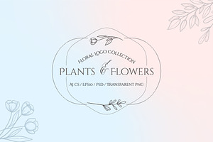 Plants and Flowers