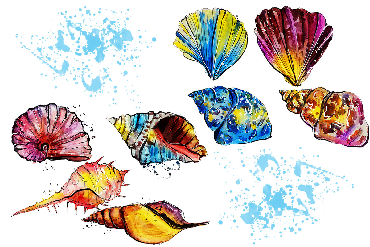 set of watercolor fish and shells, an Animal Illustration by art_mouse (Photo 3 of 7)