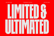 Daltown - Bold Condensed Font, a Sans Serif Font by limitype (Thumbnail 6 of 12)