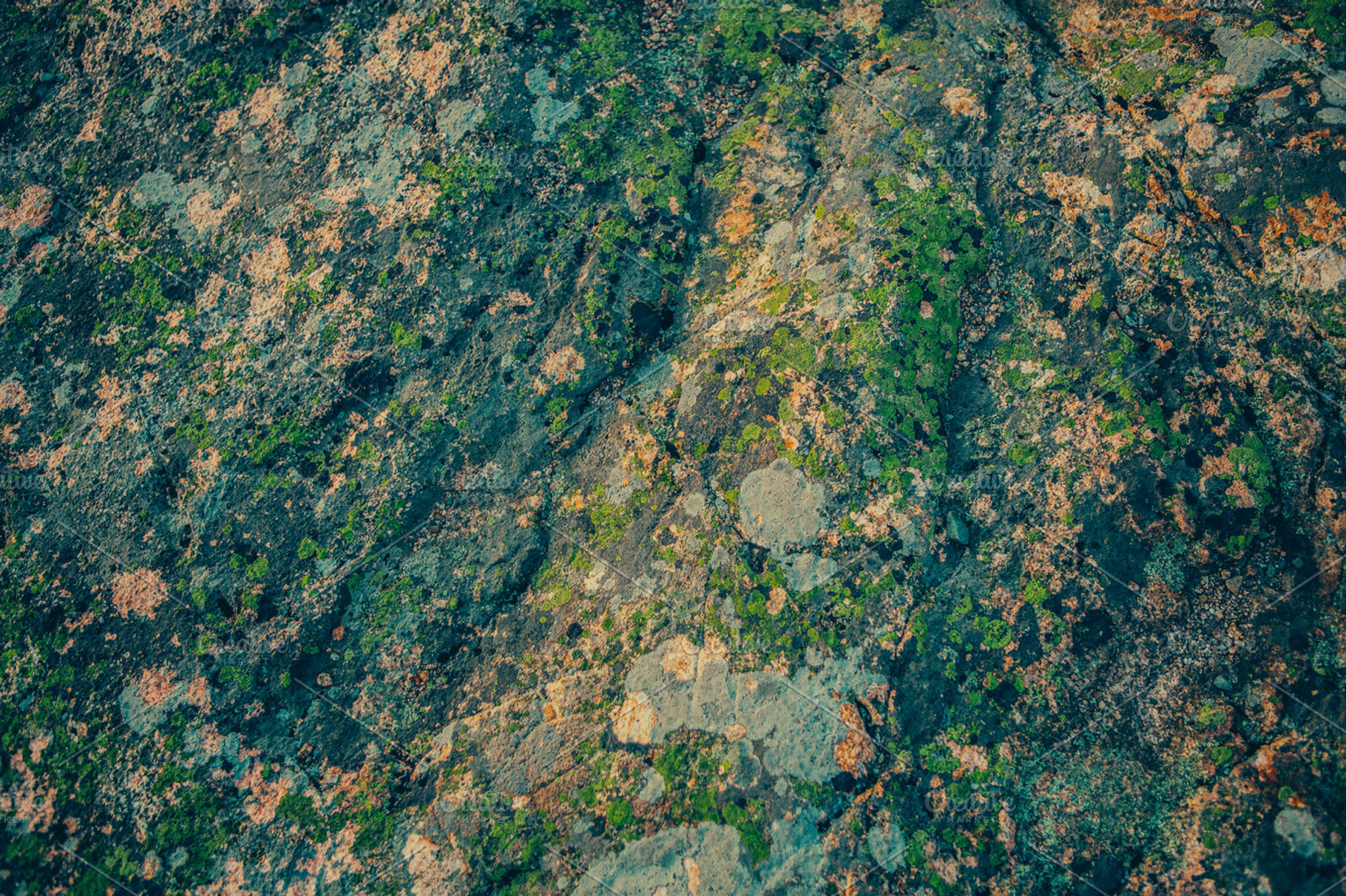 Rock textures containing acadia, national park, and atlantic ocean, a Nature Photo by Moth Owl Photography