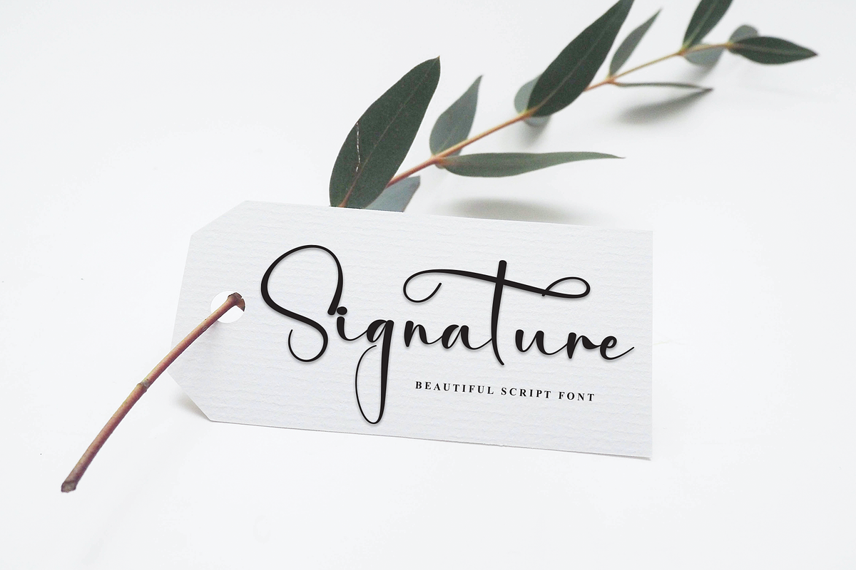 Mountain | Script Font, a Handwritten Font by Scratchones (Photo 3 of 9)